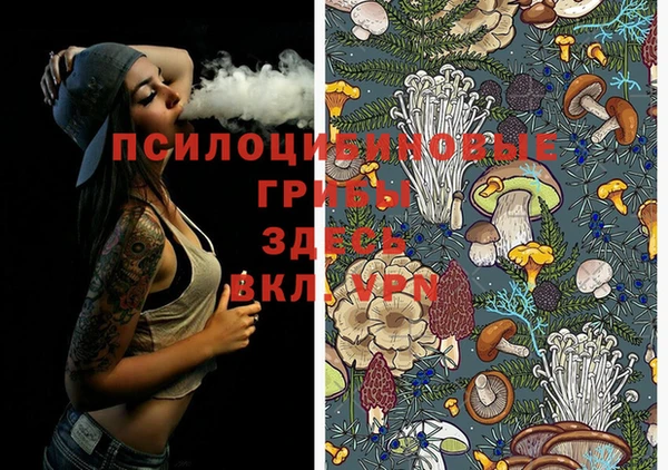 дурь Абдулино
