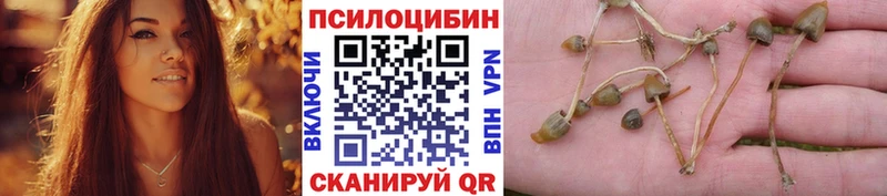 Галлюциногенные грибы ЛСД  Усинск 